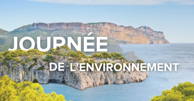 Dia Mundial do Meio Ambiente: a Onet reafirma seu compromisso com um futuro mais responsável